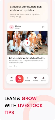 I-download ang Bakra Mandi App – Bumili at Magbenta ng Alagang Hayop - Screenshot 3