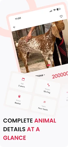 I-download ang Bakra Mandi App – Bumili at Magbenta ng Alagang Hayop - Screenshot 2